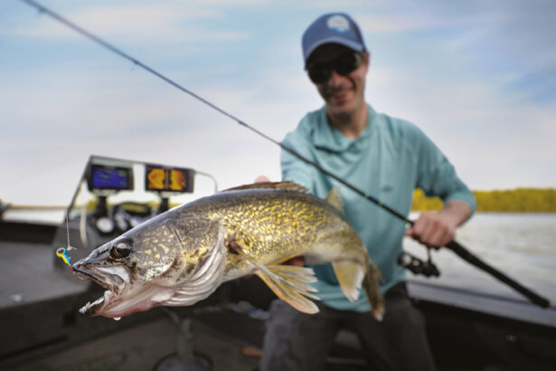 Guide sur la pêche au doré